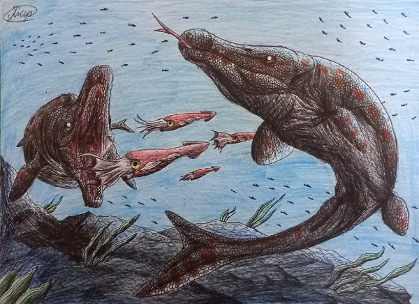 Phần lớn họ hàng của Pluridens serpentis khá nhỏ, chỉ dài vài mét. Tuy nhiên, loài thương long này có thể dài tới 8 m. Những con lớn nhất có xương hàm chắc khỏe và dày.