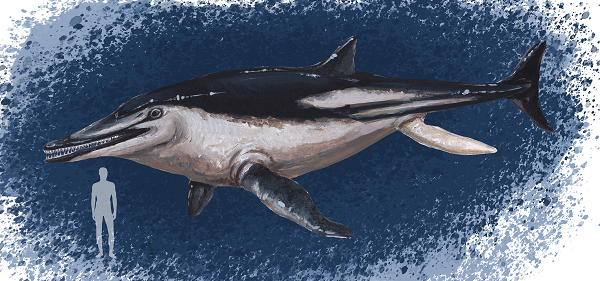 Temnodontosaurus trigonodon có lẽ là hóa thạch ngư long (Ichthyosaur) lớn nhất thế giới. Quái vật này dài tới 10 mét, 180 triệu tuổi, được phát hiện tại Khu bảo tồn Thiên nhiên nước Rutland (Anh).