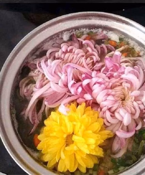 Loại trà này có rất nhiều tác dụng, đặc biệt là trong việc giữ gìn nhan sắc. Từ Hi Thái hậu từng cử người đến Tuyết Sơn nhằm tìm kiếm loại nước suối sạch nhất.