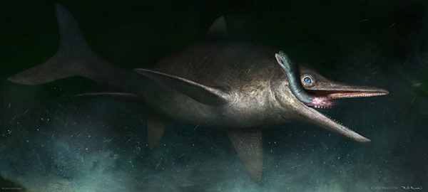 Ở Anh, ngư long còn được gọi bằng một cái tên mang màu thần thoại là "sea dragon", tức "rồng biển". Ngư long là loài đã tồn tại cùng khủng long suốt cả 3 kỷ Tam Điệp - Jura và Phất Trắng.