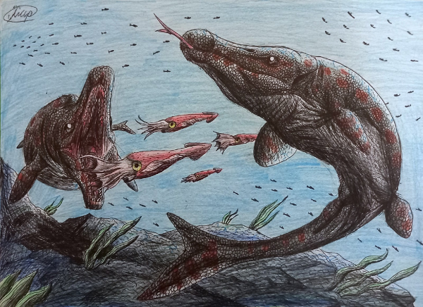 Phần lớn họ hàng của Pluridens serpentis khá nhỏ, chỉ dài vài mét. Tuy nhiên, loài thương long này có thể dài tới 8 m. Những con lớn nhất có xương hàm chắc khỏe và dày.