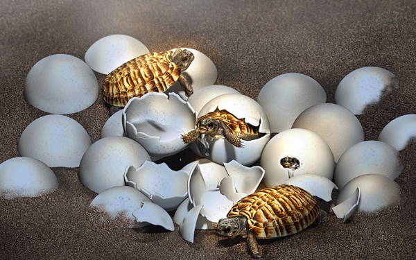 Yuchelys nanyagensis là một loài rùa "quái thú" đã tuyệt chủng cùng với toàn bộ khủng long trên Trái Đất trong thảm họa tiểu hành tinh Chicxulub 66 triệu năm trước.