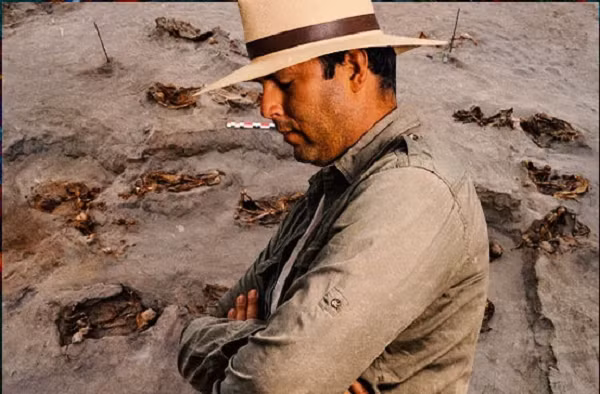 Thay vào đó, nhiều đứa trẻ được chôn cùng với những con lạc đà không bướu còn rất nhỏ. Là nguồn cung cấp thực phẩm, chất xơ và phương tiện giao thông quan trọng, những con vật này là một trong những tài sản quý giá nhất đối với người Chimú.