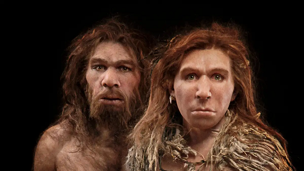 Từ khi mới sinh ra, người Neanderthals có thể đã sở hữu cơ thể săn chắc, thậm chí là "6 múi" ngay từ khi còn nhỏ. Sau khi phân tích và tái tạo lại cơ thể từ một bộ xương của đứa trẻ Neanderthals hoàn chỉnh, kết quả đã khiến các nhà khoa học kinh ngạc.