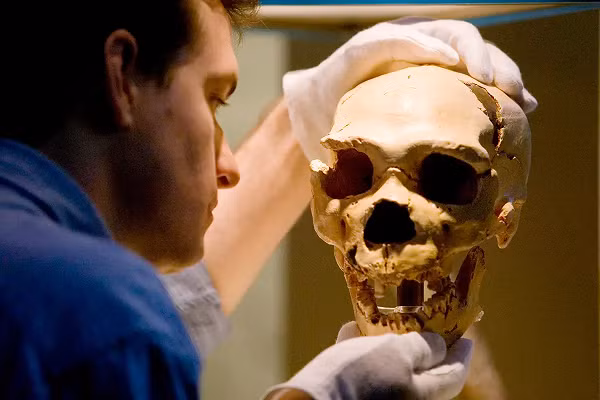 Điều này cho thấy, một bộ phận lớn người Neanderthals còn là những "người cá" thiện chiến và nguy hiểm ở biển khơi, đã nhiều lần lặn xuống biển, săn tìm thực phẩm.