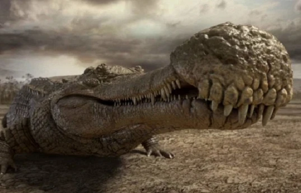 Đây cũng là lần hiếm hoi mà một bộ xương khủng long được tìm thấy trong khoang bụng của cá sấu, cùng với các dấu răng được in trên đó một cách rõ ràng. Đó là bởi trong bụng cá sấu cổ đại có chứa axit ăn mòn mạnh - cũng như cá sấu thời nay, nhằm mục đích tiêu hóa con mồi.