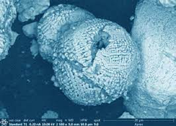 Văn hóa Hopewell bắt đầu tàn khoảng thế kỷ thứ năm sau Công Nguyên. Tới thế kỷ thứ sáu thì văn hóa Hopewell chuyển qua văn hóa Mississippi.