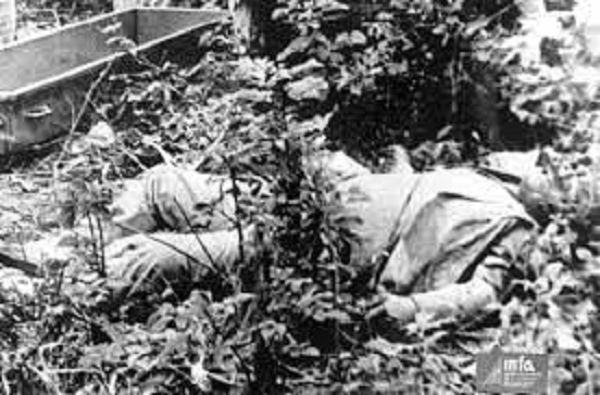 Đã có lúc, những người đàn ông này cùng nhau chế tạo một thiết bị điện tử, song nó đã nổ tung ở sân sau nhà Pereira da Cruz. Cả ba đã đưa thiết bị này ra một bãi biển để thử nghiệm lại và tuyên bố trông thấy một vụ nổ trên bầu trời.