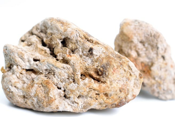 Long diên hương sau đó được bài tiết ra ngoài cùng với phân và có mùi tương tự phân khi mới được thải ra. Vậy nên, gọi đó là một loại phân hiếm của cá nhà táng cũng không sai.