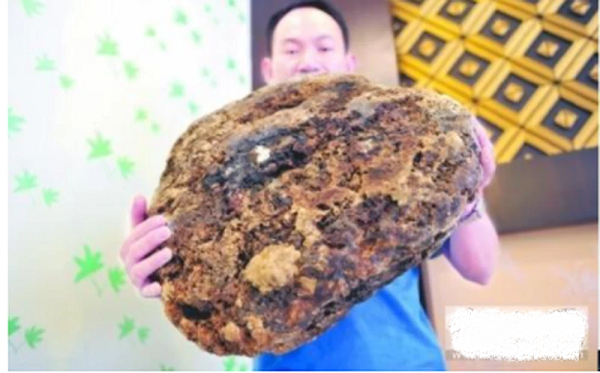 Trong một lần về quê nhà ở Trạm Giang để cúng bái tổ tiên, Tiếu Quý đã cùng gia đình mình đi du lịch ở biển. Trong lúc đang lang thang đi dạo, anh nhìn thấy một vật thể lạ bị sóng đánh vào bờ.