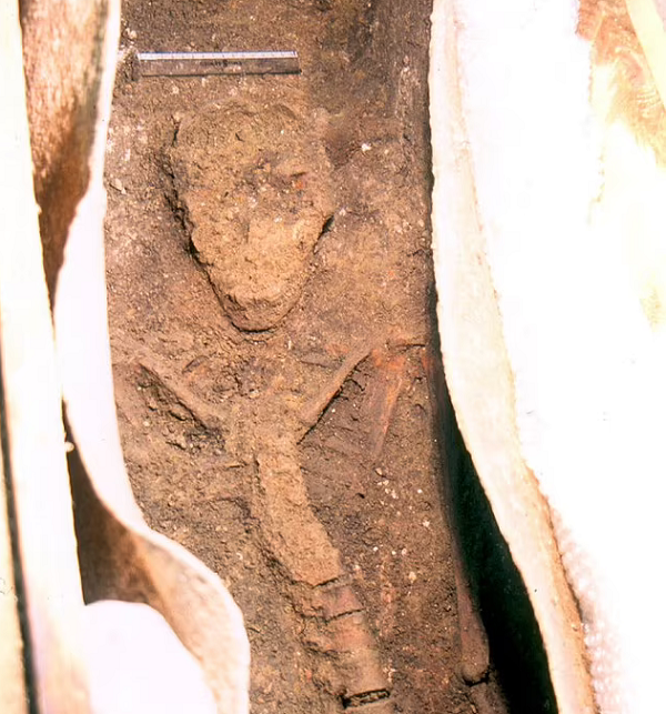 Nhưng La Mã được biết đến không chỉ vì thiên tài quân sự và tổ chức mà còn vì văn hóa. Quần thể văn hóa La Mã chỉ kém chút ít không đáng kể so với Hy Lạp, nơi đã bắt đầu thể chế nhà nước vài thế kỷ trước Cộng hòa La Mã.