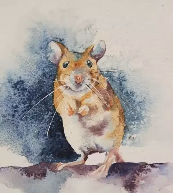 Những người tuổi này nên cẩn thận trước khi đưa ra những quyết định đầu tư, kinh doanh. Đặc biệt là khi phải nhận nhiều lời can gián của người ngoài thì bạn nên dành thời gian cân nhắc xem những quyết định của mình đã thực sự chính xác hay chưa.