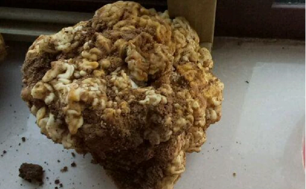 Một hôm khi đang làm việc như mọi ngày, lão nông đã đào được một vật thể kỳ lạ trong ruộng ngô nhà mình. Nó có hình dáng tương tự như 1 cây súp lơ mày trắng nhưng khi cầm vào nó lại mềm như thịt, ấn vào còn có độ đàn hồi nhất định.