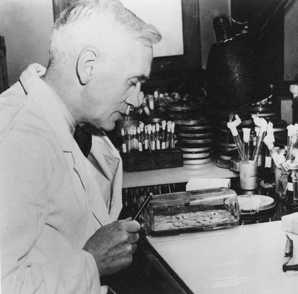 Vào năm 1928, nhà khoa học Alexander Fleming đã quên làm sạch dụng cụ nghiên cứu của mình trước khi ông đi nghỉ một vài ngày. Khi trở về, Fleming thấy rất nhiều vi khuẩn và nấm mốc trên dụng cụ và phát hiện ra rằng nó đã ngăn vi khuẩn phát triển. Ông hiểu rằng nấm mốc có chứa đặc tính kháng khuẩn, do đó đã phát hiện ra penicillin.