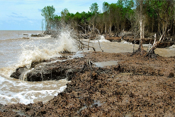 Tình trạng nóng lên toàn cầu đã làm trầm trọng thêm nguy cơ tuyệt chủng của các loài, làm sụp đổ hệ sinh thái, tăng các bệnh do muỗi gây ra cũng như làm trầm trọng thêm các đợt nắng nóng gây chết người, thiếu nước ngọt, giảm sản lượng mùa vụ.