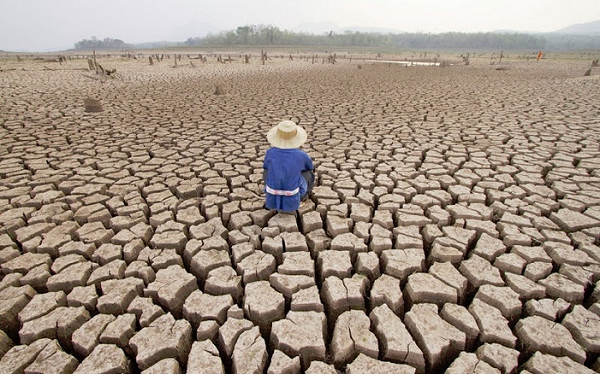 Nghiên cứu cũng khẳng định "sẽ không thể ngăn chặn hoàn toàn việc mất đất hàng loạt", song vẫn cung cấp thông tin quan trọng cho việc bảo vệ bờ biển, và lập kế hoạch chính trị, xã hội ở các vùng bị ảnh hưởng.