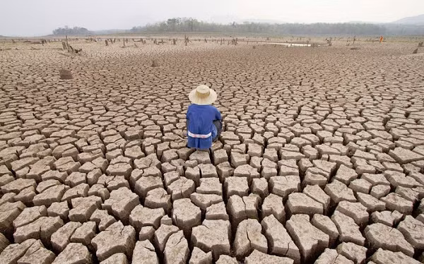 Nghiên cứu cũng khẳng định "sẽ không thể ngăn chặn hoàn toàn việc mất đất hàng loạt", song vẫn cung cấp thông tin quan trọng cho việc bảo vệ bờ biển, và lập kế hoạch chính trị, xã hội ở các vùng bị ảnh hưởng.