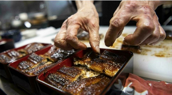 Lươn thủy tinh được cho rằng có thể giúp tăng cường sinh lý vì vậy chúng bị săn bắt ráo riết và có nguy cơ tuyệt chủng.