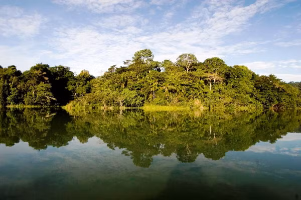 Đảo Barro Colorado của Panama là một khu rừng nhiệt đới từng có hơn 200 loài chim các loại. Một số trong số chúng hiện đã tuyệt chủng mà không rõ lý do.