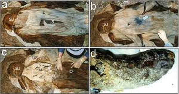 Cuối thư bà vẫn yếu đuối xin ông hãy trở về tìm bà trong những giấc chiêm bao. "Mỗi khi chúng ta nằm xuống bên nhau, anh luôn nói với em, "Những người khác có trân trọng và yêu thương nhau như chúng ta không?" Cớ sao chàng có thể bỏ lại tất cả những điều đó và ra đi trước thiếp?"