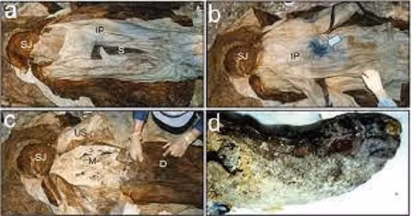 Cuối thư bà vẫn yếu đuối xin ông hãy trở về tìm bà trong những giấc chiêm bao. "Mỗi khi chúng ta nằm xuống bên nhau, anh luôn nói với em, "Những người khác có trân trọng và yêu thương nhau như chúng ta không?" Cớ sao chàng có thể bỏ lại tất cả những điều đó và ra đi trước thiếp?"