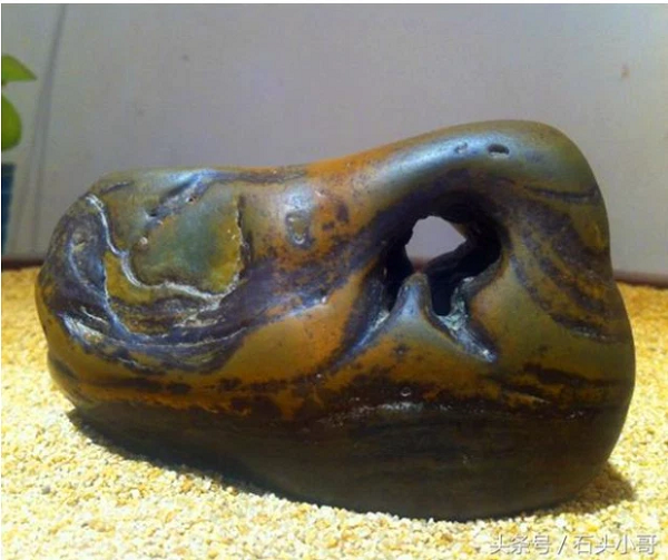 Mới đầu ông lão vô cùng vui mừng vì nghĩ rằng mình đã kiếm được một món hời lớn. Tuy nhiên ông lại thắc mắc tại sao người này sẵn sàng mua nó với giá cao vậy?