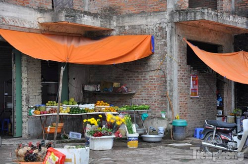 Bên ngoài những ngôi biệt thự này còn kinh doanh hoa quả.