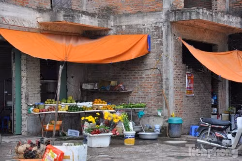 Bên ngoài những ngôi biệt thự này còn kinh doanh hoa quả.