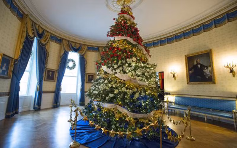 Cây thông cao 15m ở phòng Xanh với những ngôi sao lấp lánh. (ảnh: UPI).