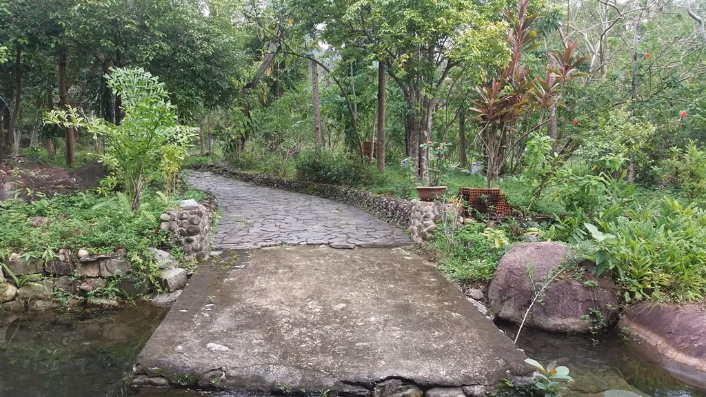  "Khu nghỉ mát" trái phép trên núi Hải Vân trên thuộc tiểu khu 11, phường Hòa Hiệp Bắc (quận Liên Chiểu, Đà Nẵng). Chủ nhân là ông Lê Tiến Dũng (trú Hòa Khánh Bắc, Liên Chiểu). Ảnh con đường bê tông dẫn từ ngoài cổng vào trong.