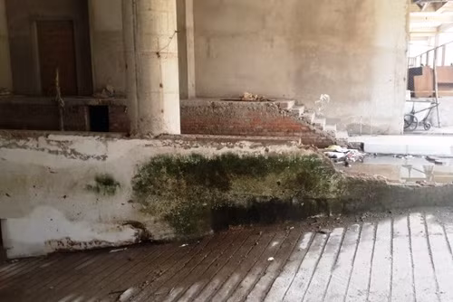 Hiện dự án này chỉ có lác đác vài người thợ thi công xây dựng trong công trường, tiến độ ì ạch. Nhiều hạng mục bên trong tòa chung cư đang xây dở đã mọc rêu từ lâu.