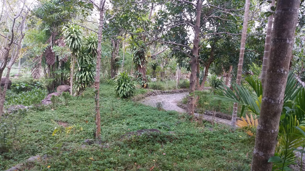 Theo hồ sơ ông Dũng cung cấp cho Hạt Kiểm lâm Liên Chiểu, khu đất đó do một người dân khai hoang và chuyển nhượng lại cho ông Dũng, có xác nhận của Ban quản lý rừng đặc dùng Hải Vân (nay đã giải thể).