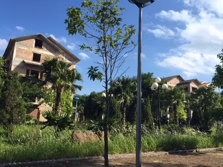 Không khí vắng lặng, lạnh lẽo không một tiếng động và cỏ hoang mọc đầy trong các ngôi nhà đã khiến ai từng đến đây đều có cảm giác lạnh người.