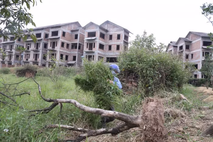 Hiện dự án đã bàn giao được 188 căn hộ, tương đương hơn 80%, 39 căn còn lại vẫn chưa có người đến nhận nhà.