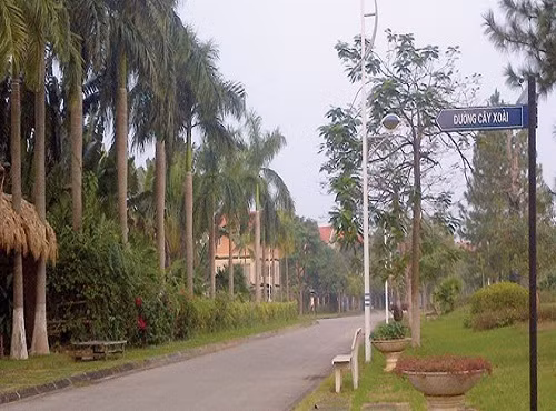 Bên trong khu đô thị này là hàng trăm căn biệt thự, liền kề có diện tích từ 230 - 500 m2, trong đó chỉ có 1 số ít căn là được các chủ nhà hoàn thiện để ở, phần lớn còn lại xây thô rồi bỏ không.