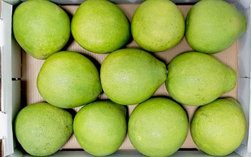 Tiếp tục xếp bưởi thành hàng. Lưu ý, chỉ nên chất bưởi thành 2 tầng, không nên chất quá nhiều sẽ khiến lớp bưởi bên dưới bị dập.