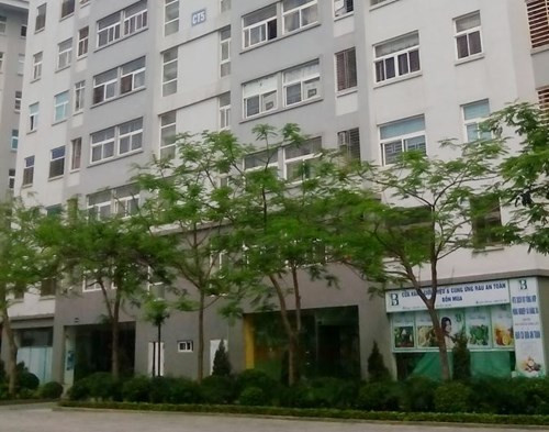 Nhung vu an me giet con rung dong du luan Viet Nam-Hinh-3