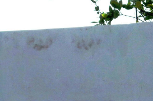 Dấu vân tay lạ trên tường bờ rào.