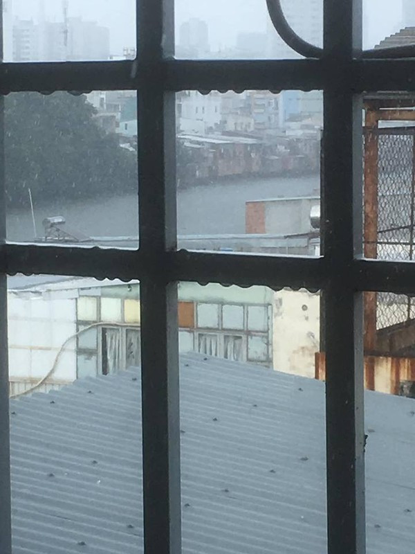 Ảnh của bạn Đạt Lê được chụp ở đường Phan Thế Hiển (quận 8)