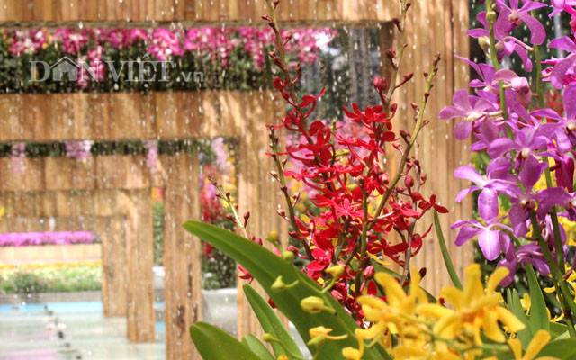 Các thảm hoa cùng với những tiểu cảnh hoa lan như ngôi nhà hoa lan, khu vườn nắng,… giữa công viên Tao Đàn giúp khách tham quan có trải nghiệm mới mẻ và những khung hình đẹp. Ảnh: Nguyên Vỹ