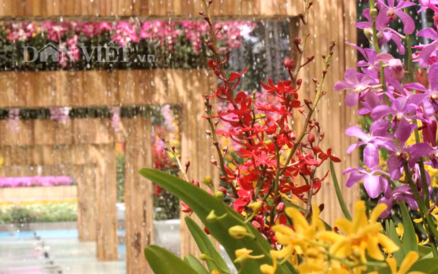 Các thảm hoa cùng với những tiểu cảnh hoa lan như ngôi nhà hoa lan, khu vườn nắng,… giữa công viên Tao Đàn giúp khách tham quan có trải nghiệm mới mẻ và những khung hình đẹp. Ảnh: Nguyên Vỹ