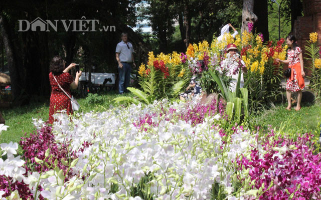 Để tổ chức được festival hoa lan này, Sở NN&amp;PTNT TP.HCM đã rất nỗ lực vì lần đầu tổ chức, bước đầu chuẩn bị gặp không ít khó khăn. “Rất nhiều du khách cho đến chủ vườn đánh giá cao festival lần này. Nhưng để tổ chức tiếp các lần sau theo từng năm hay 2 – 3 năm một lần phải đánh giá tổng kết lại”, ”, ông Nguyễn Văn Trực chia sẻ.
