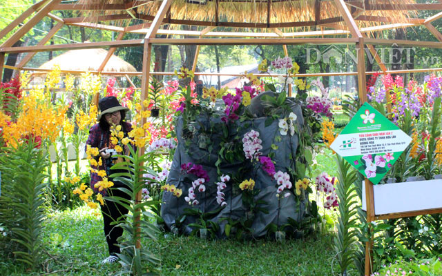 Sáng sớm ngày 27.4 tại Công viên Tao Đàn, Quận 1 đã có rất đông du khách đến với lễ khai mạc Festival hoa lan. Tổng cộng có hơn 14.000 cây, chậu, giò hoa lan góp mặt tại Festival hoa lan đầu tiên này của TP.HCM