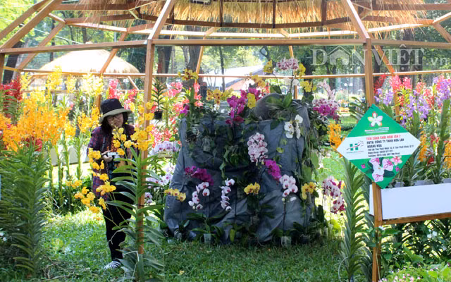 Sáng sớm ngày 27.4 tại Công viên Tao Đàn, Quận 1 đã có rất đông du khách đến với lễ khai mạc Festival hoa lan. Tổng cộng có hơn 14.000 cây, chậu, giò hoa lan góp mặt tại Festival hoa lan đầu tiên này của TP.HCM