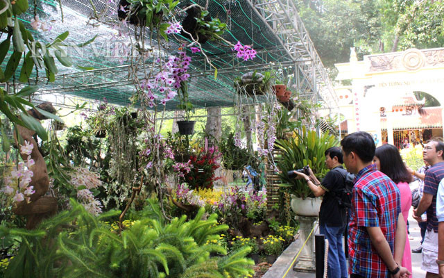 Festival hoa lan TP.HCM do Sở NN&amp;PTNT TP.HCM tổ chức, mở cửa miễn phí từ ngày 27.4 – 1.5 tại Công viên Tao Đàn, Quận 1 để chào mừng kỷ niệm 44 năm ngày Giải phóng miền Nam, thống nhất đất nước.