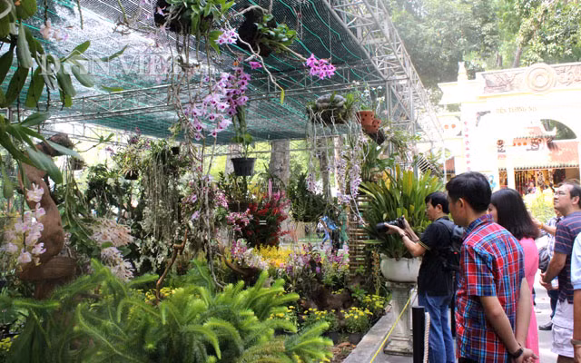 Festival hoa lan TP.HCM do Sở NN&amp;PTNT TP.HCM tổ chức, mở cửa miễn phí từ ngày 27.4 – 1.5 tại Công viên Tao Đàn, Quận 1 để chào mừng kỷ niệm 44 năm ngày Giải phóng miền Nam, thống nhất đất nước.