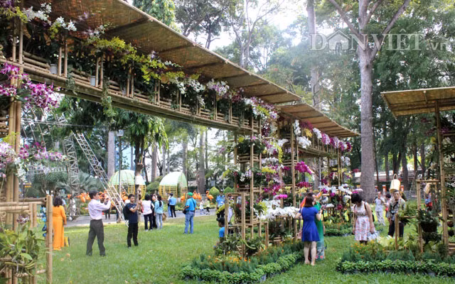 Hang ngan gio lan doc, la khoe sac o Festival hoa lan