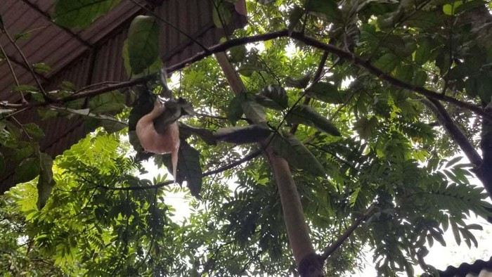 Be trai bi cho can chet: Loi ke dau don tu nguoi cuu-Hinh-3