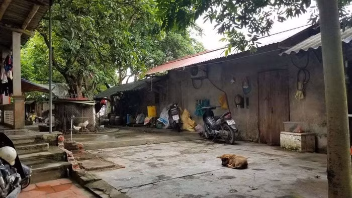 Be trai bi cho can chet: Loi ke dau don tu nguoi cuu-Hinh-6