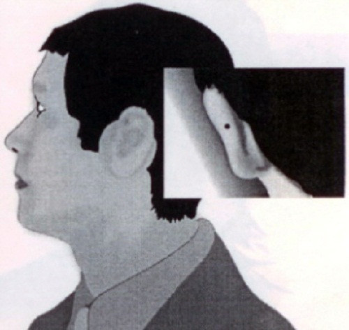 Nốt ruồi phía sau vành tai là người con hiếu thuận. Họ sẵn sàng từ bỏ đam mê để nối nghiệp gia đình. Khi đi theo hướng đó, chắc chắn họ sẽ thành công.